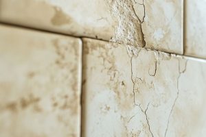 Defects in bathrooms and toilets 2