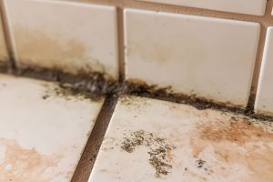 Defects in bathrooms and toilets 4