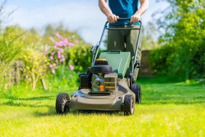 garden maintenance 2