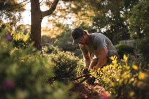 garden maintenance 7