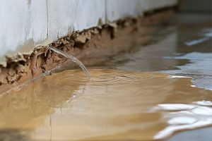 Moisture damage 2