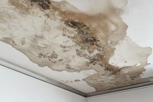 Moisture damage 6