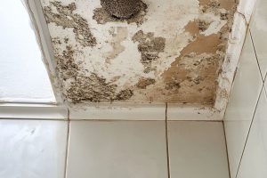 Moisture damage 7