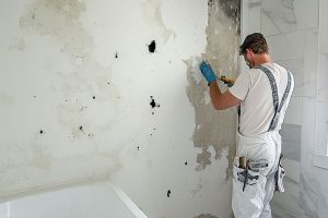 Mold infestation 5